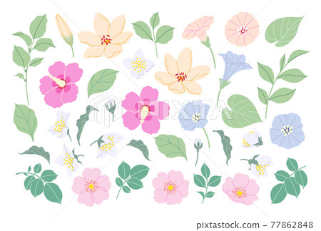 Simple Different Flowers, Buds and Leaves Set Simple Different Flowers, Buds and Leaves Set 77862848