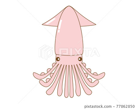 插圖與魷魚的形象 插圖與魷魚的形象 77862850