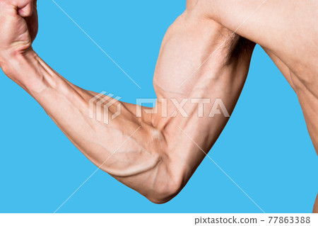 手臂肌肉訓練圖片 手臂肌肉訓練圖片 77863388