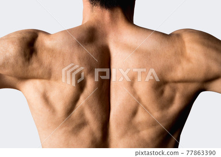 男士背部肌肉訓練圖片 77863390