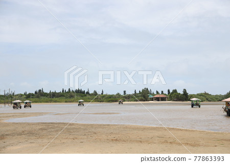 Scenery of Yubu Island buffalo car Scenery of Yubu Island buffalo car 77863393