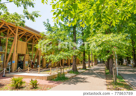 Forest of learning, park full of greenery <Kakamigahara City, Gifu Prefecture> 77863789