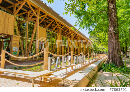 Forest of learning, park full of greenery <Kakamigahara City, Gifu Prefecture> 77863791
