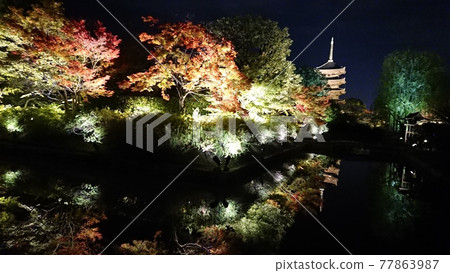 秋葉照亮京都Touji 秋葉照亮京都Touji 77863987
