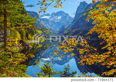 Peaceful autumn Alps mountain lake with reflections. Gosauseen or Vorderer Gosausee lake, Upper Austria. Dachstein summit and glacier in far. Peaceful autumn Alps mountain lake with reflections. Gosauseen or Vorderer Gosausee lake, Upper Austria. Dachstein summit and glacier in far. 77864371