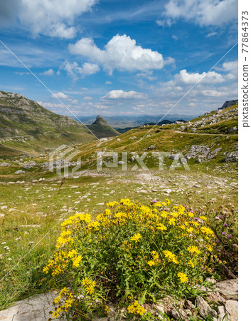 Summer mountain Durmitor National Park, Montenegro. Durmitor panoramic road, Sedlo pass. 77864373