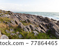 Columnar joint 77864465
