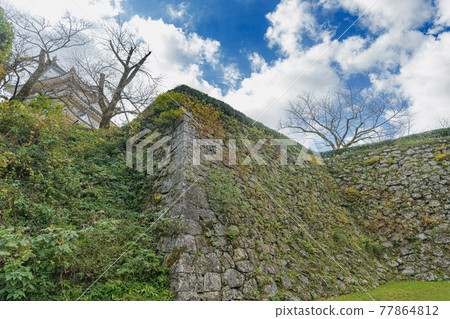愛媛宇和島城 二之丸城道 愛媛宇和島城 二之丸城道 77864812