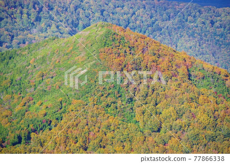 Autumn leaves in the Osorezan Mountains (Mt. Kamabuse), Mutsu City, Aomori Prefecture 77866338