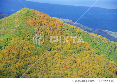 Autumn leaves in the Osorezan Mountains (Mt. Kamabuse), Mutsu City, Aomori Prefecture 77866340