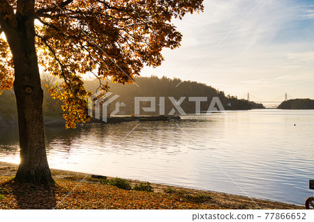Swedish lake and bridge in the distance 77866652