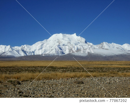 Tibetan Shishapangma 77867202