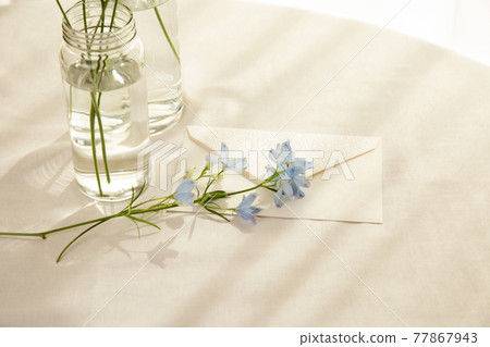Flowers and letters illuminated by the setting sun Blue delphinium Flowers and letters illuminated by the setting sun Blue delphinium 77867943