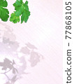 Leaves and shadows 77868105