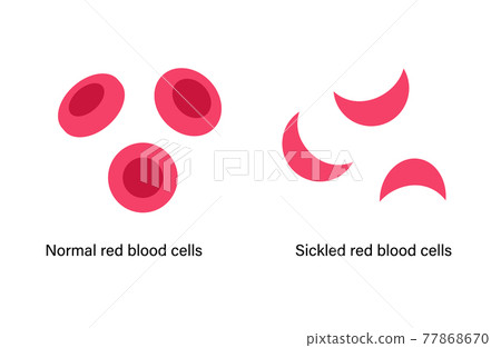 Blood structure concept Blood structure concept 77868670