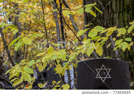 six pointed star or hexagram on tombstone. Autumn jewish Cemetery six pointed star or hexagram on tombstone. Autumn jewish Cemetery 77869895