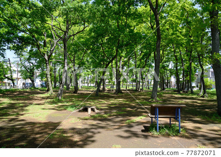 千葉縣船橋市新綠，北良筱3號公園 77872071