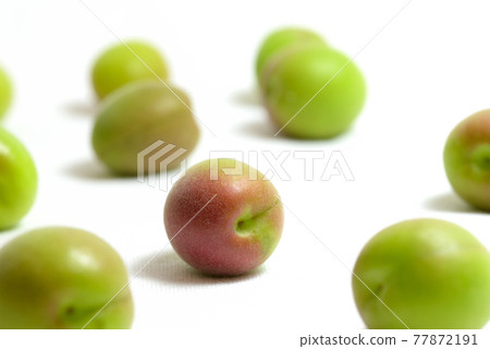 Close-up of Koume on a white background Close-up of Koume on a white background 77872191