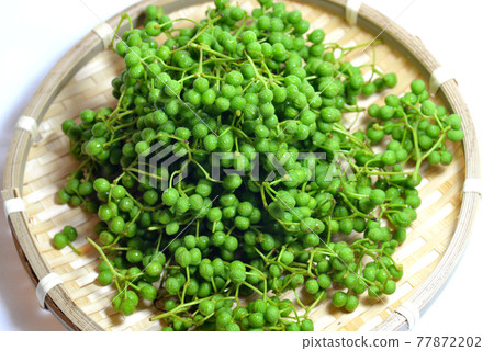 Japanese pepper with branches piled on a colander Japanese pepper with branches piled on a colander 77872202