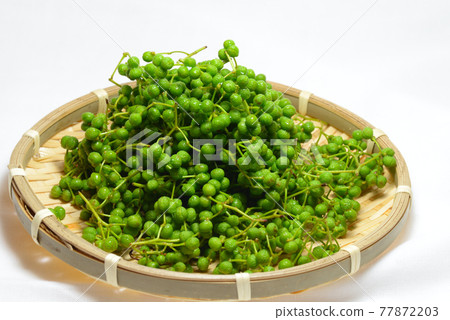 A heap of Japanese pepper in a colander 77872203