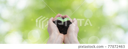 Futaba's growth (grow, first step, grow big, eco, ESG, environmental protection, growth concept) Futaba's growth (grow, first step, grow big, eco, ESG, environmental protection, growth concept) 77872463