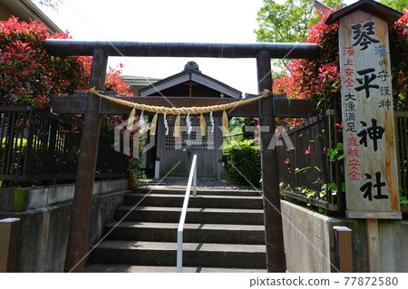 琴平神社 77872580