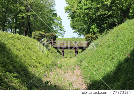 飛山城 飛山城 77873124