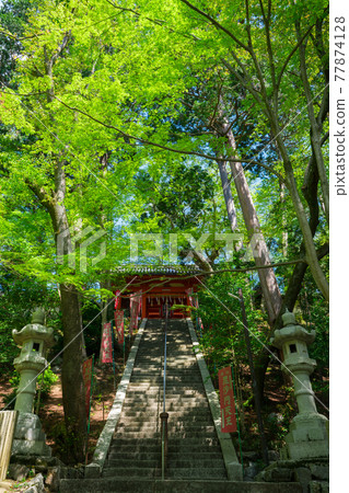 Niomon 和新鮮的綠色在京都 Bishamon-do 寺遺址 Niomon 和新鮮的綠色在京都 Bishamon-do 寺遺址 77874128