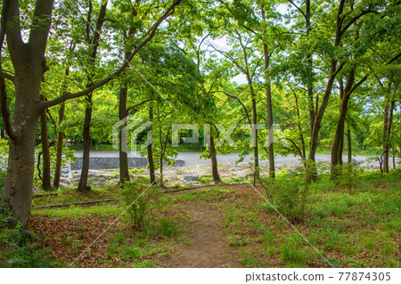 堀島公園的春景 堀島公園的春景 77874305