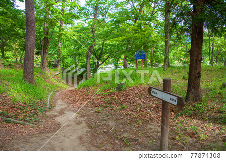 Spring view of Horaijima Park 77874308