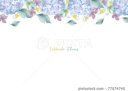 Frames of various pale flowers 77874748