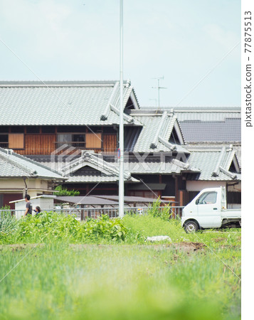 Rice field before rice planting Rice field before rice planting 77875513