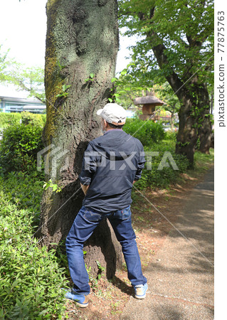 Image of a middle-aged man pissing while standing - Stock Photo