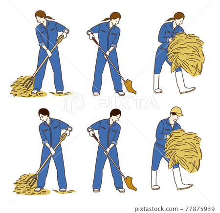 農業奶牛畜牧業工作女性插圖奶牛 農業奶牛畜牧業工作女性插圖奶牛 77875939