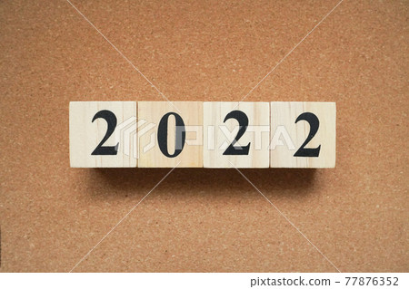 2022 2022 77876352