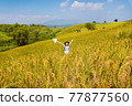 Asian women travel Rice fields green On the mountains in the holiday. happy and enjoying a beautiful nature.  77877560