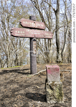 Mikuni Hiking Course Road: The summit of Mt. Obora on the ridge of Mikuni in early spring 77878357