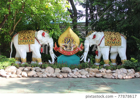 泰國曼谷 海外旅行 Safari Safari Park Zoo 77878617