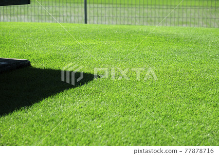 Wood deck and lawn 6 Wood deck and lawn 6 77878716