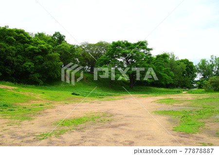 Tsudo Shiroyama Tomb [World Heritage] 77878887