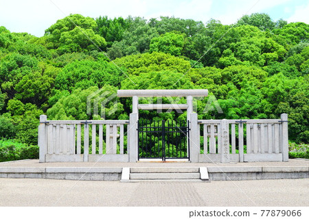 Nakatsuyama Ancient Tomb [World Heritage] 77879066
