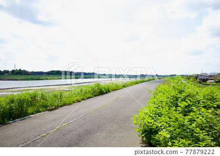 Kuji River cycling course 77879222