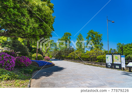 Cityscape of Tokyo Scenery around the entrance of Hibiya Park 77879226