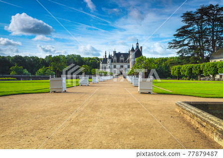 Walkway in the ornamental garden of Chenonceau castle, France Walkway in the ornamental garden of Chenonceau castle, France 77879487