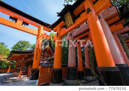 Senbon Torii Of Fushimi Inari Taisha Shrine In Stock Photo