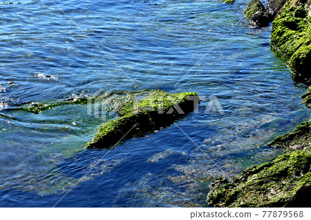 Arasaki Coast 77879568