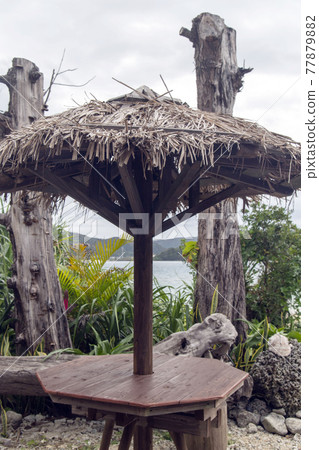 Umbrellas made from palm leaves and large corals Umbrellas made from palm leaves and large corals 77879882