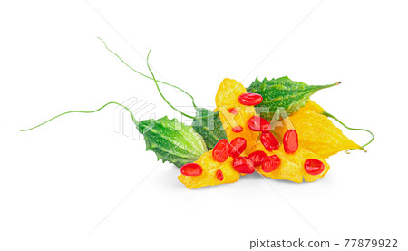 Momordica or karela (Momordica charantia)on white background. Momordica or karela (Momordica charantia)on white background. 77879922