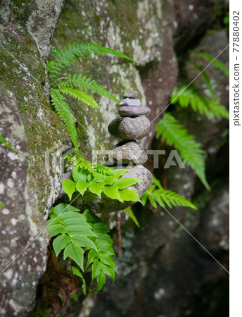 宮崎縣高千穗峽的發電站天安河原的砌築 宮崎縣高千穗峽的發電站天安河原的砌築 77880402
