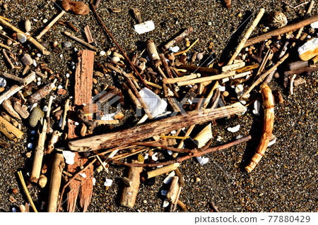 海洋污染塑料垃圾 77880429